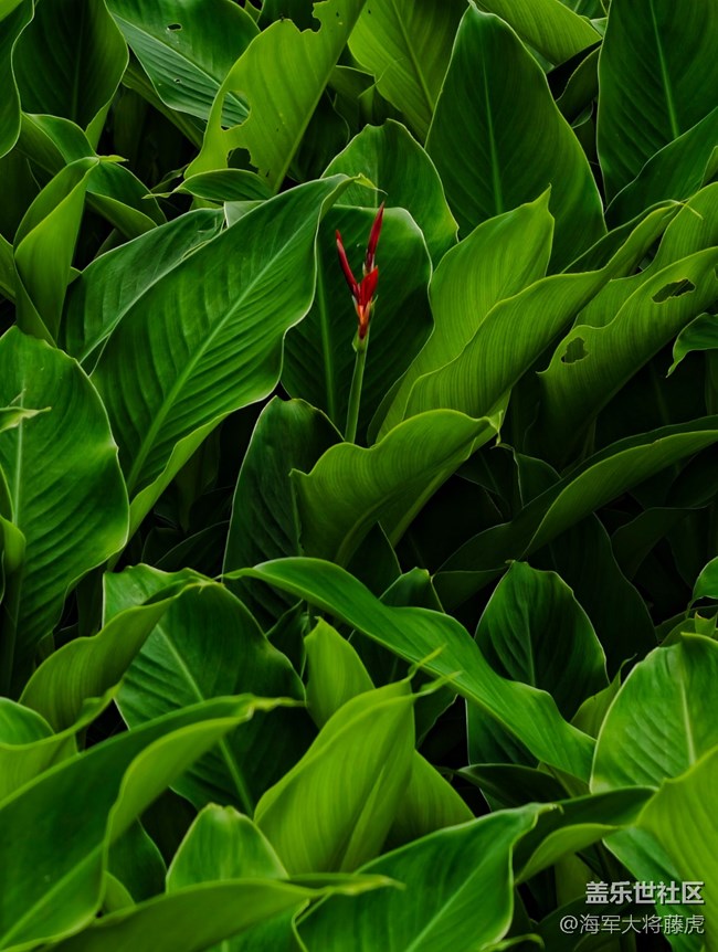 【世间的美好】世间美好,藏于每一处角落 【世间的美好】世间美好,藏于每一处角落