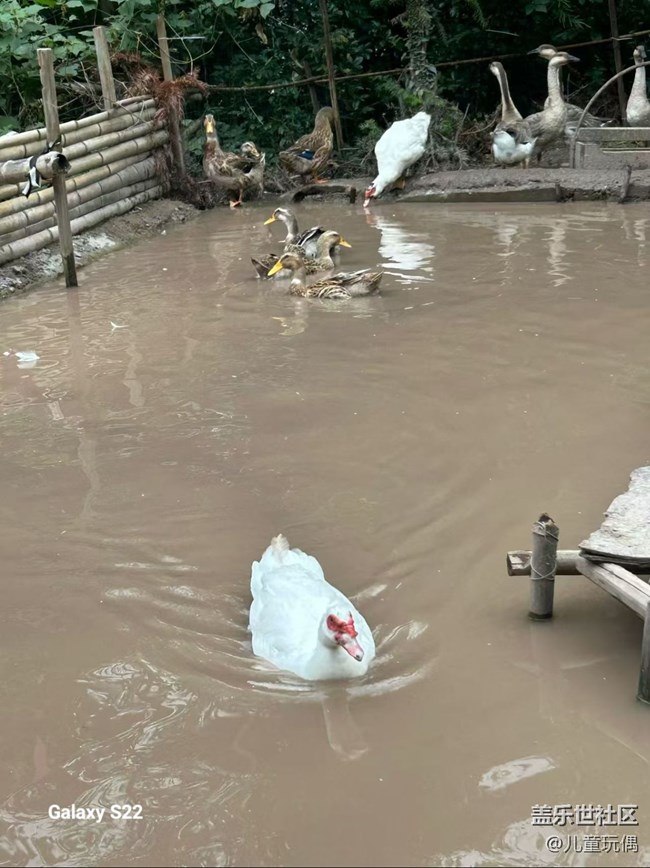 【拾秋镜画】农家小院