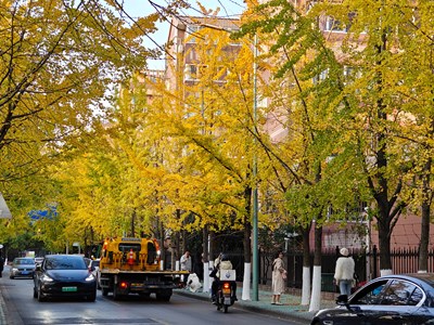 【秋尾拾光】秋色渐深