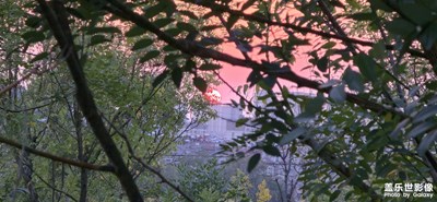 萧萧远树疏林外, 一半秋山带夕阳