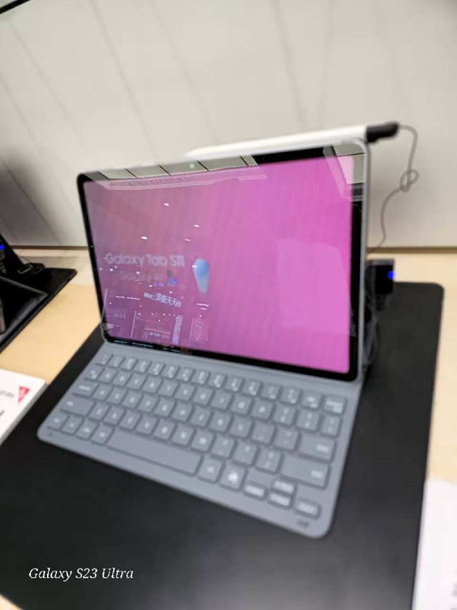 【江畔上的晚风】秋日钢梁+新品体验