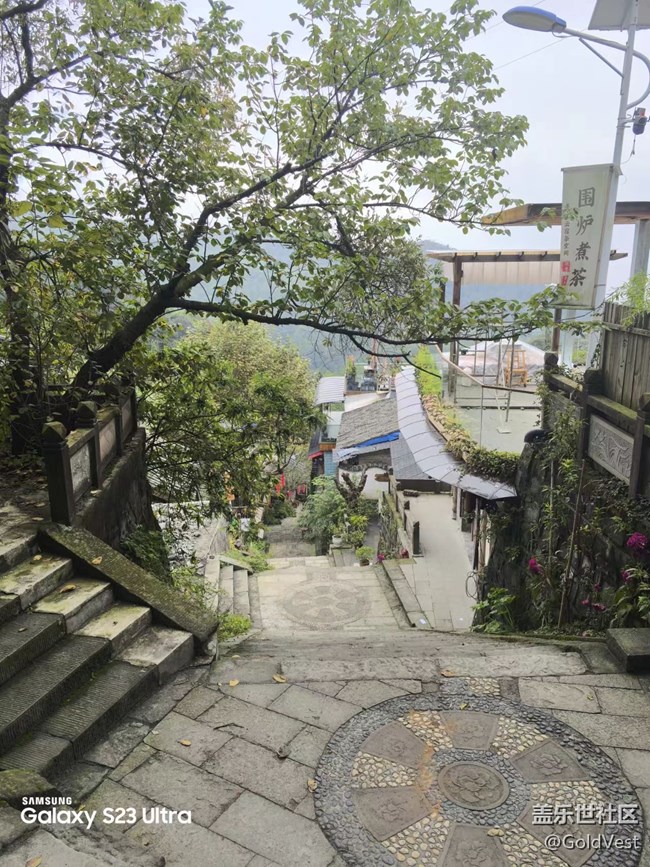 【拾秋镜画】一阵秋雨一场寒