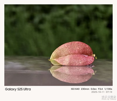 【秋尾拾光】秋意