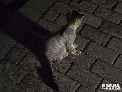 小心，这里有危险