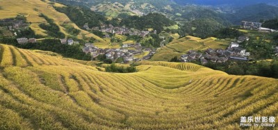 万物生长,芒种芒荒