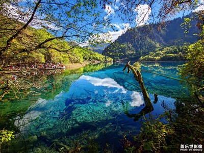 三星影像绝绝子