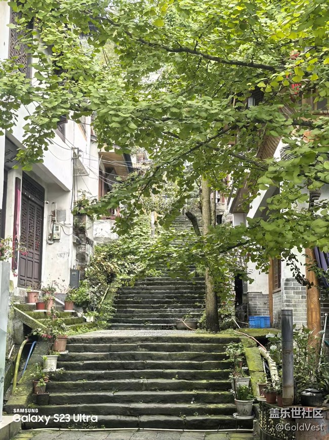 【拾秋镜画】一阵秋雨一场寒