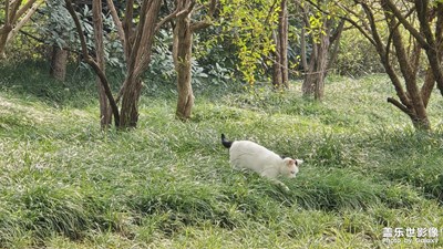 【秋尾拾光】捕捉快乐的时光