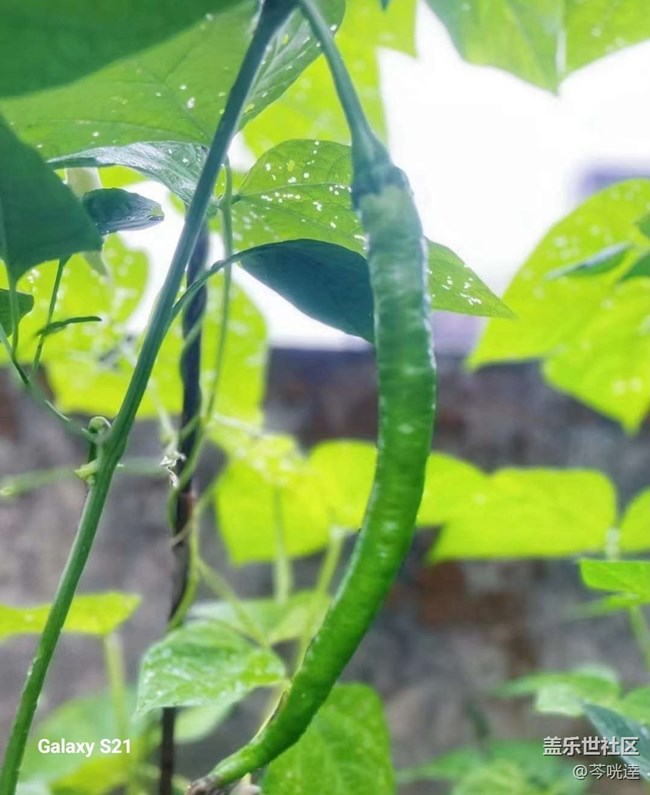 【拾秋镜画】收获的快乐