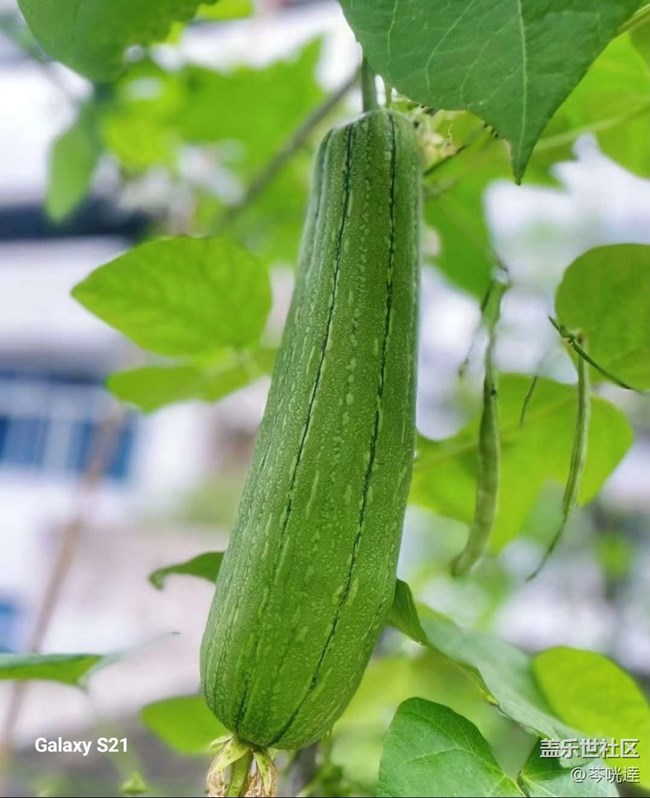 【拾秋镜画】收获的快乐