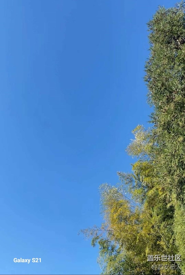 【拾秋镜画】暖阳