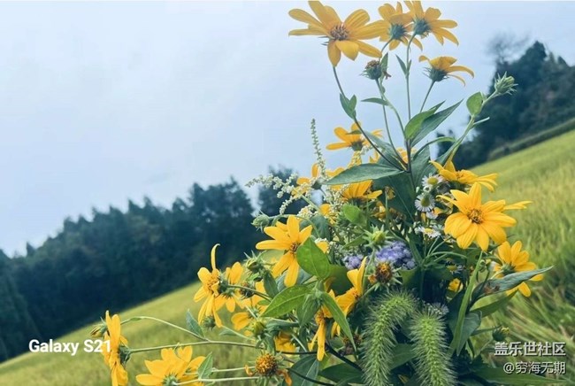 【拾秋镜画】参加活动