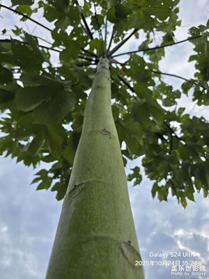 【秋尾拾光】+深秋景色