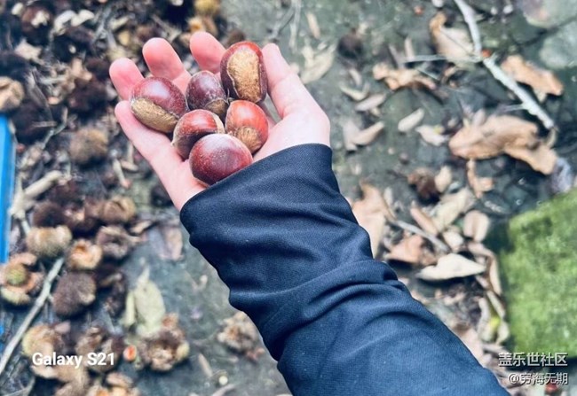 【拾秋镜画】参加活动