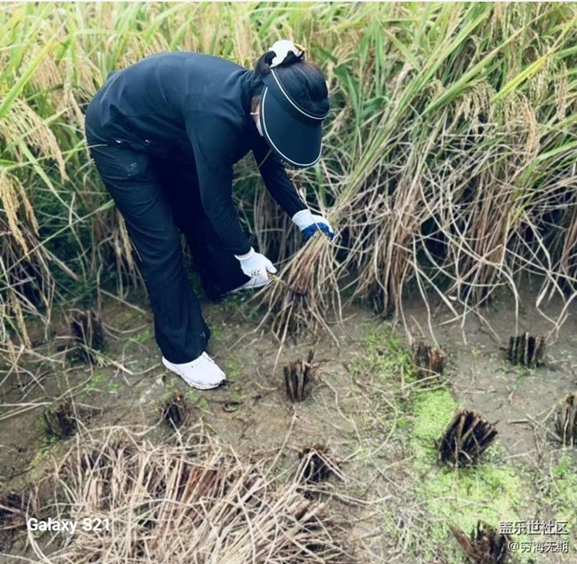 【拾秋镜画】参加活动