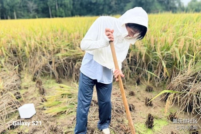 【拾秋镜画】参加活动