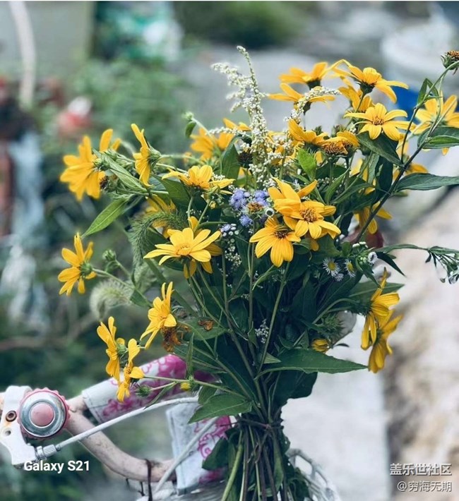 【拾秋镜画】参加活动