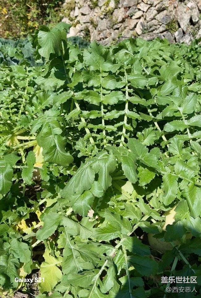 【拾秋镜画】暖阳