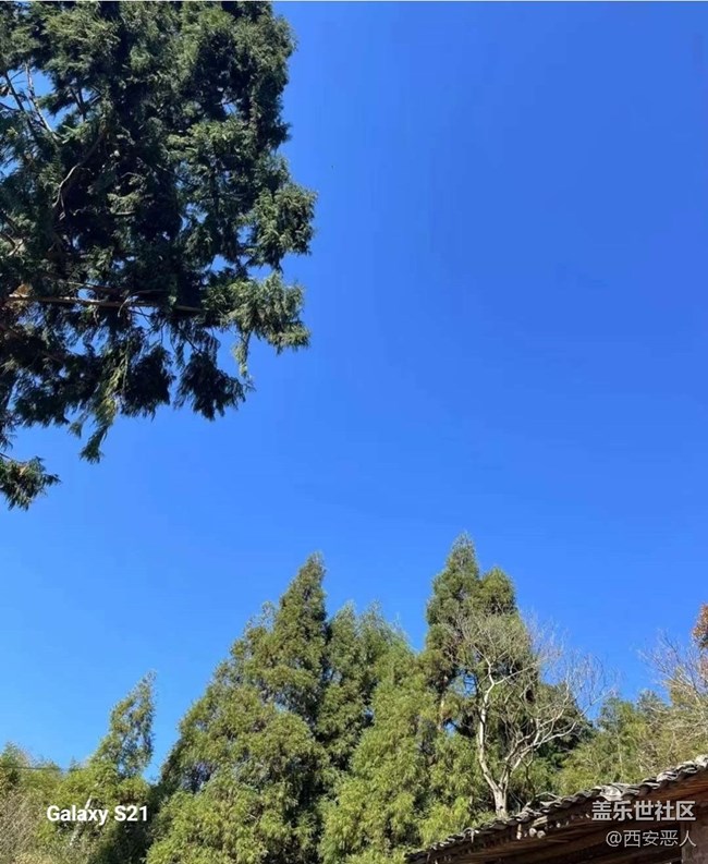 【拾秋镜画】暖阳