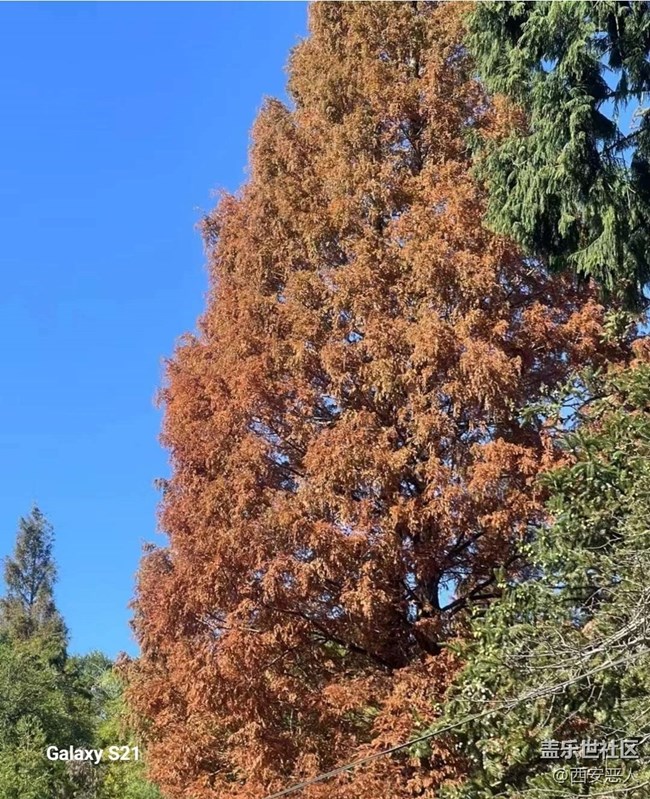 【拾秋镜画】暖阳