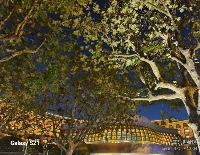 【拾秋镜画】杭城秋夜