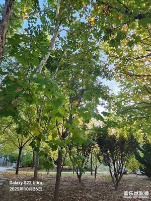 秋尾拾光 秋色正浓