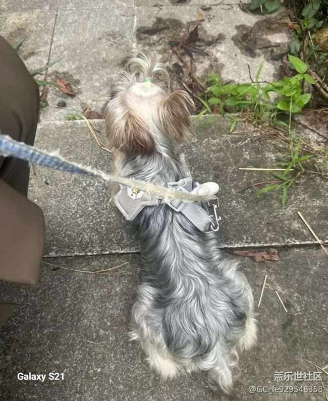 【拾秋镜画】秋季登山