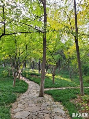 【秋尾拾光】公园秋色