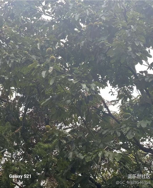 【拾秋镜画】秋季登山