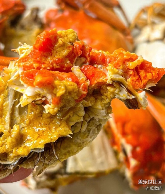 【霜华食记】螃蟹配酒