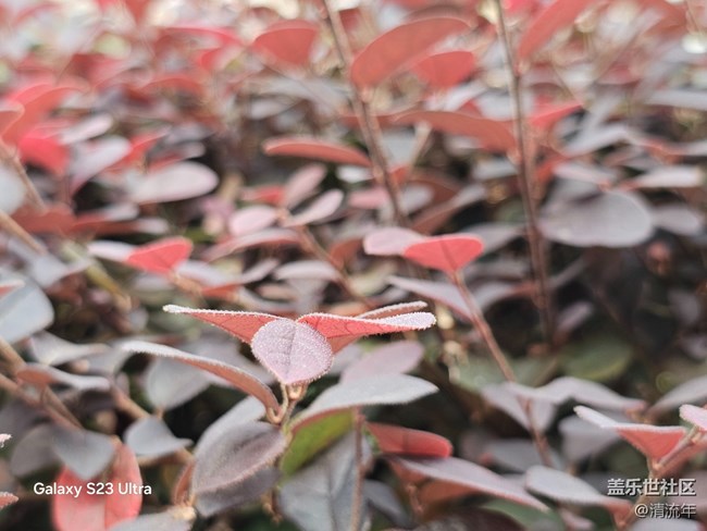 【拾秋镜画】悠闲时间