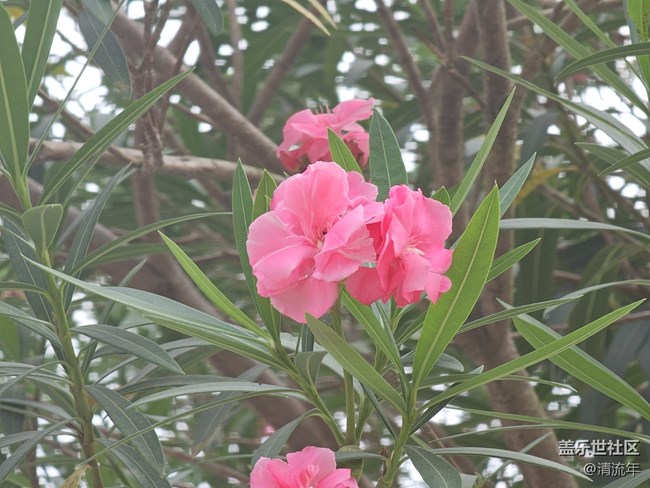 【生活微光】生活所见