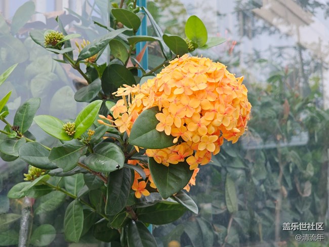 【秋影拾光】天晴气爽