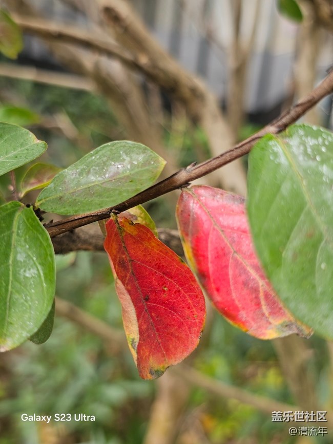 【拾秋镜画】悠闲时间