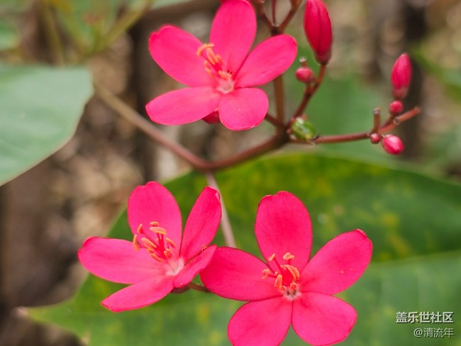 【生活微光】生活所见