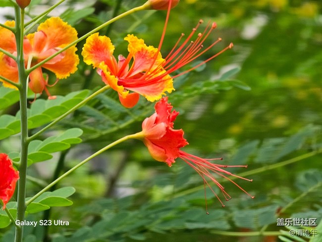 【拾秋镜画】悠闲时间