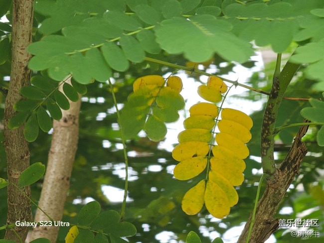 【拾秋镜画】悠闲时间