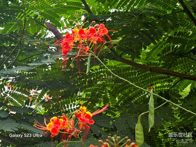 【拾秋镜画】悠闲时间