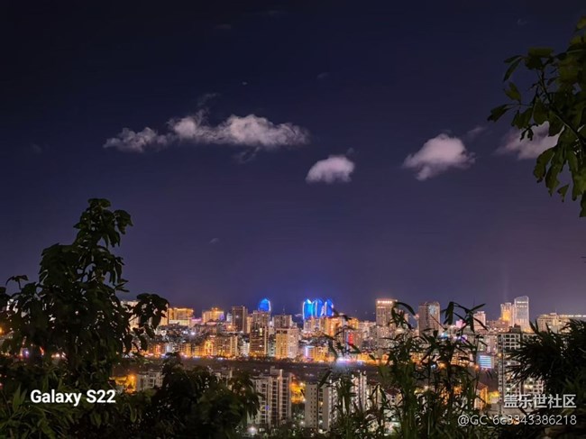 【拾秋镜画】森林公园