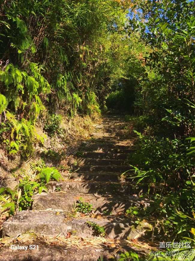 【拾秋镜画】周末去赏秋