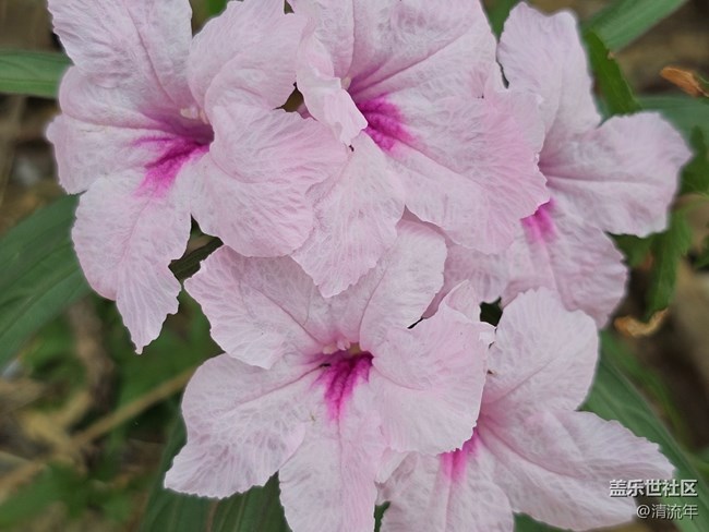 【生活微光】生活所见