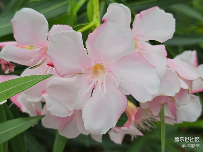 【秋影拾光】天晴气爽