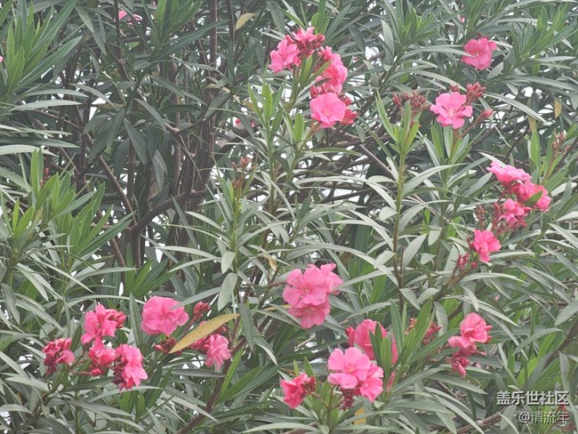 【生活微光】生活所见