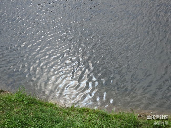 【秋影拾光】天晴气爽