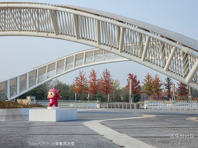 【摄影版块十一月第一周】奇妙的视角