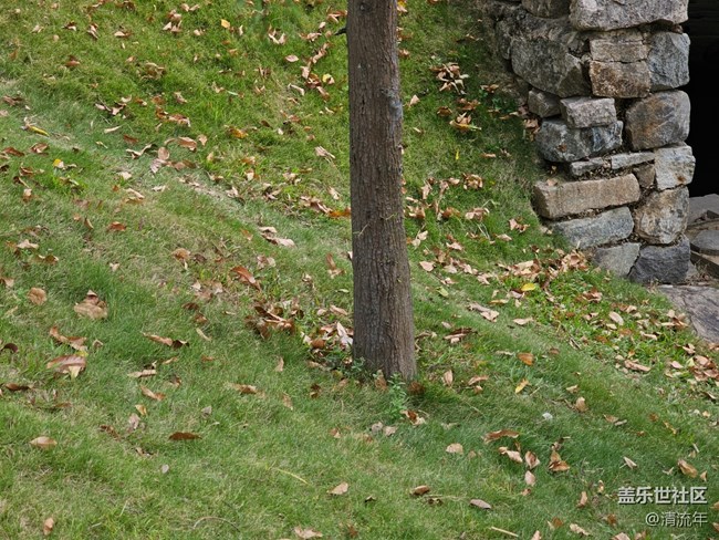 【秋天的明信片】秋日散步