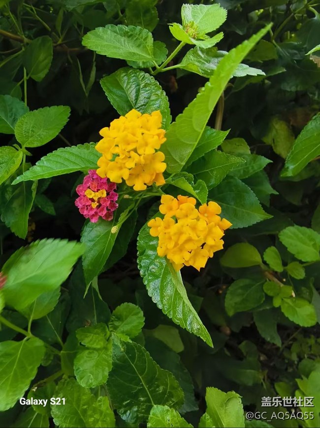 【拾秋镜画】周末去赏秋