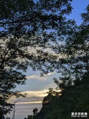 【秋尾拾光】+缤纷秋色