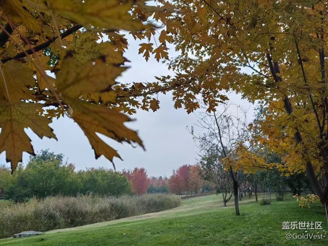 【与秋天合个影】秋意正浓，木叶尽染