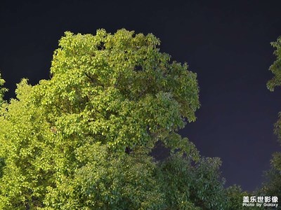 【秋尾拾光】静谧的秋